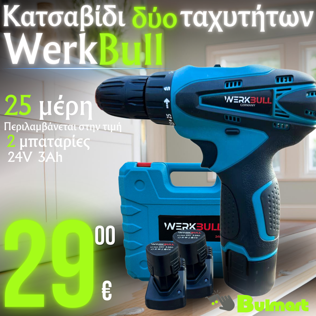 Γερμανικό κατσαβίδι δύο ταχυτήτων WerkBull 25 μέρη + δύο μπαταρίες 24v 3Ah